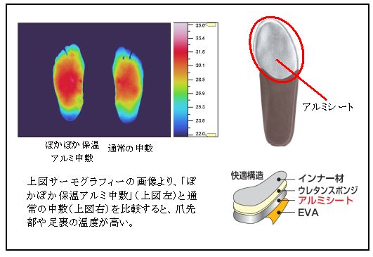 中敷イメージ