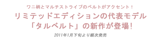 ワニ柄とマルチストライプのベルトがアクセント！！！