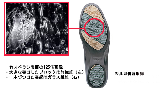 竹スペランイメージ