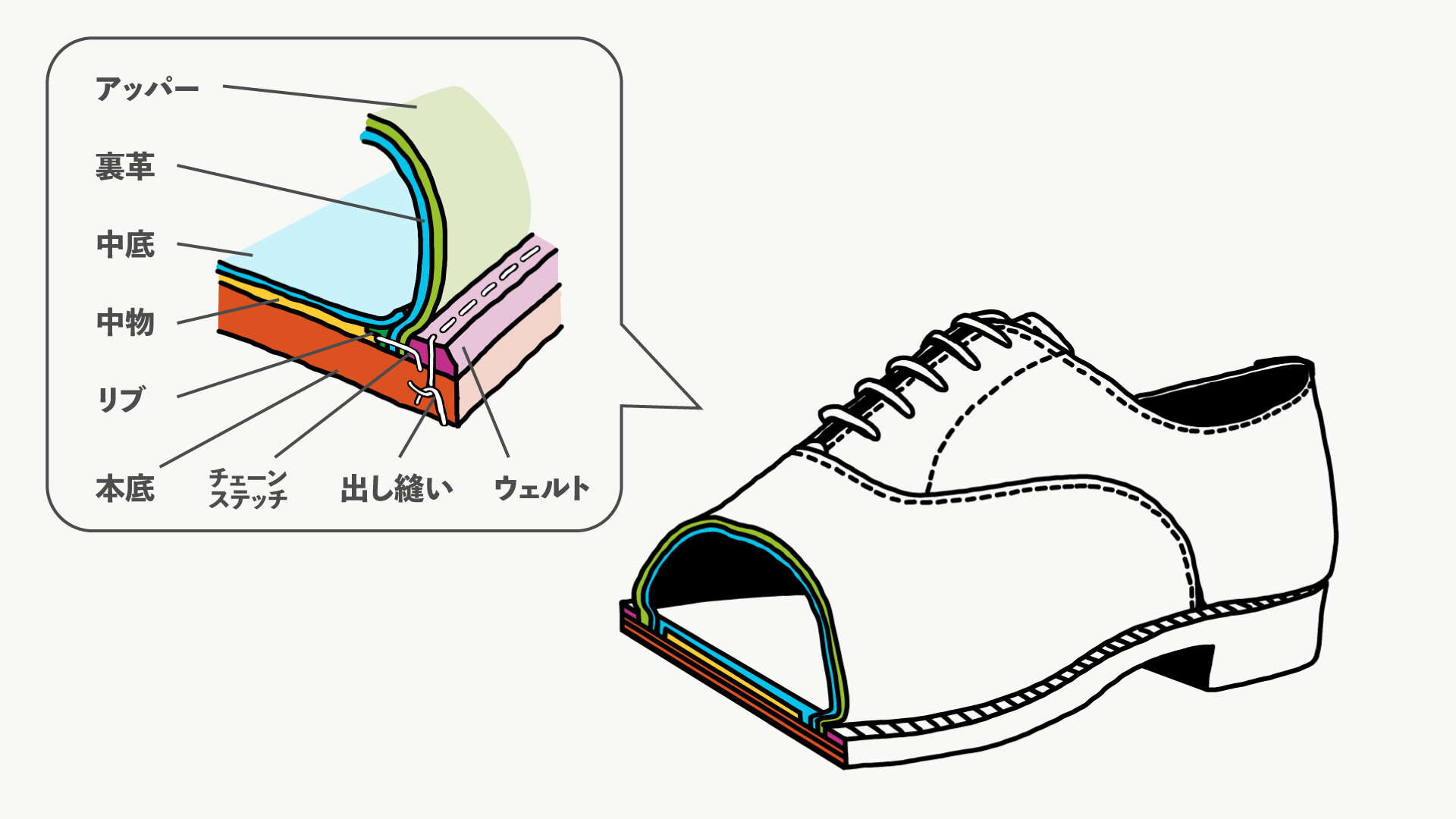 https://www.moonstar.co.jp/aboutshoes/article/3fc383cafa3e18130a45f47233c8ea8840607eed.jpg