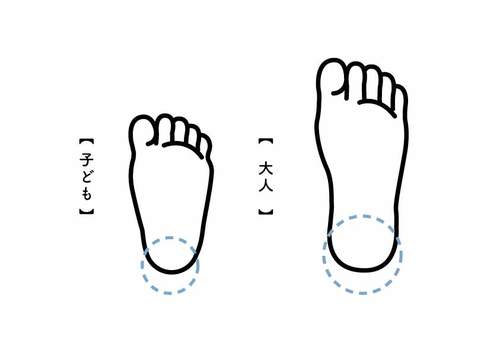 子どもの足の構造-2.jpg