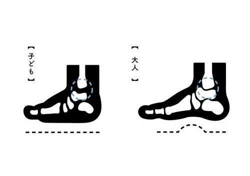 子どもの足の構造-3.jpg