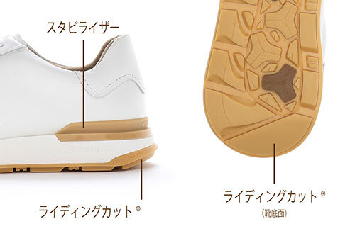 20250219_gently_walking_tec2.jpg