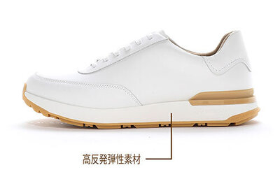 20250219_gently_walking_tec1.jpg