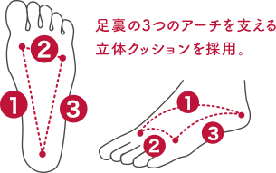 足裏の3つのアーチを支える立体クッションを採用。