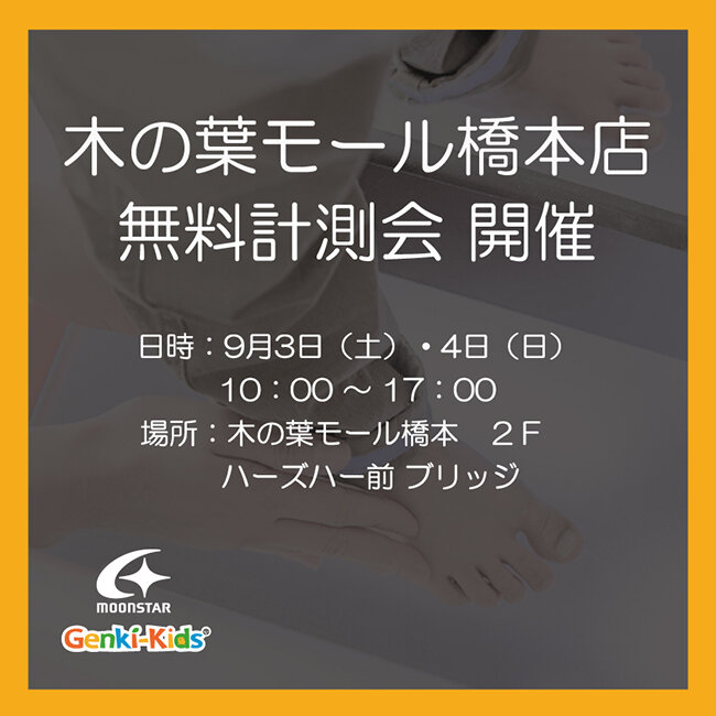 木の葉モール計測会告知.jpg