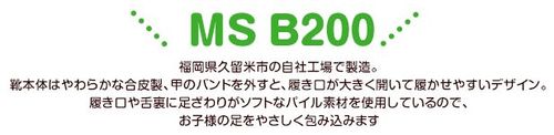 MSB200title.jpg