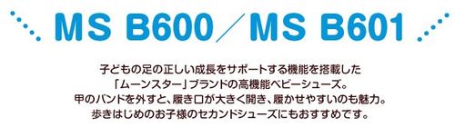 MSB600601title.jpg