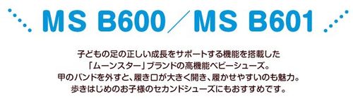 MSB600601title.jpg