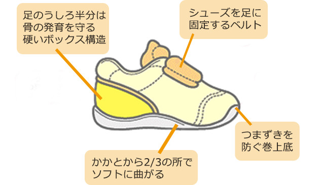 シューズを足に固定するベルト　つまずきを防ぐ巻上底　足のうしろ半分は骨の発育を守る硬いボックス構造　かかとから2/3の所でソフトに曲がる