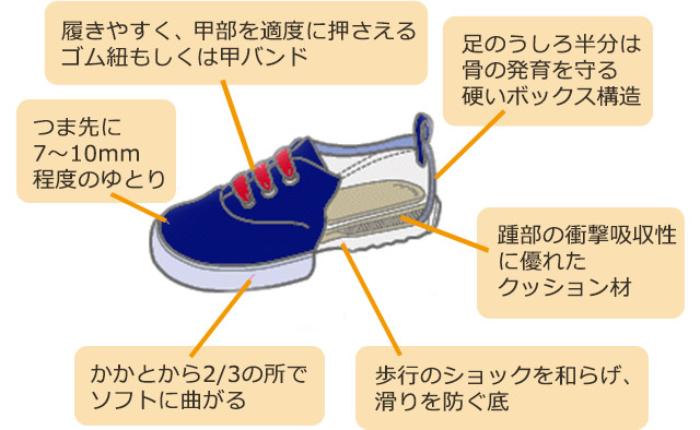 履きやすく、甲部を適度に押さえるゴム紐もしくは甲バンド　足のうしろ半分は骨の発育を守る硬いボックス構造　つま先に7～10mm程度のゆとり　踵部の衝撃吸収性に優れたクッション材　かかとから2/3の所でソフトに曲がる　歩行のショックを和らげ、滑りを防ぐ底