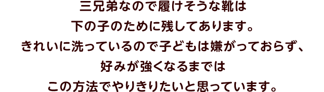 三兄弟なので履けそうな靴は下の子のために残してあります。きれいに洗っているので子どもは嫌がっておらず、好みが強くなるまではこの方法でやりきりたいと思っています。