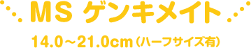 MS ゲンキメイト 14.0～21.0cm（ハーフサイズ有）