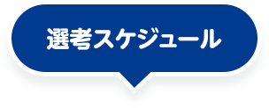 パビリオンの流れ