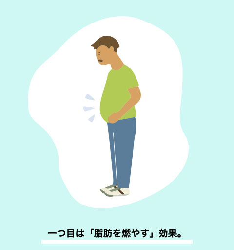 一つ目は「脂肪を燃やす」効果。