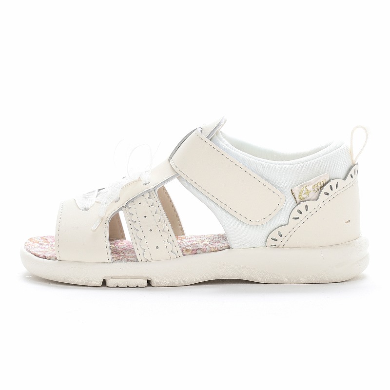 CR C2381