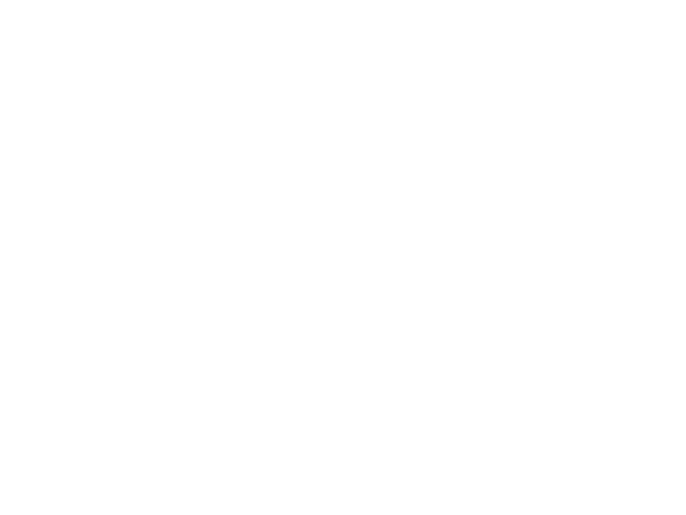 速く走りたい気持ちに応える靴