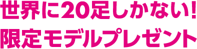 世界に20足しかない！限定モデルプレゼント