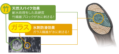 竹スペランソール画像