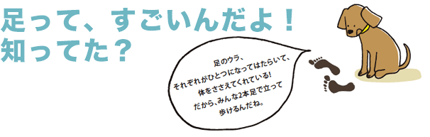 足って、すごいんだよ！知ってた？