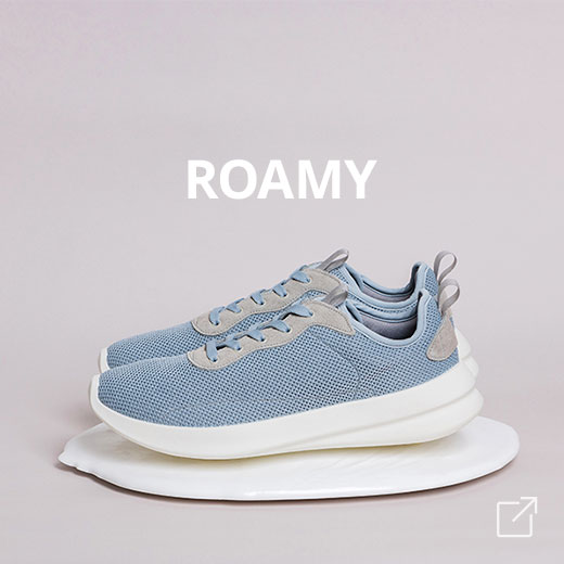 ROAMY